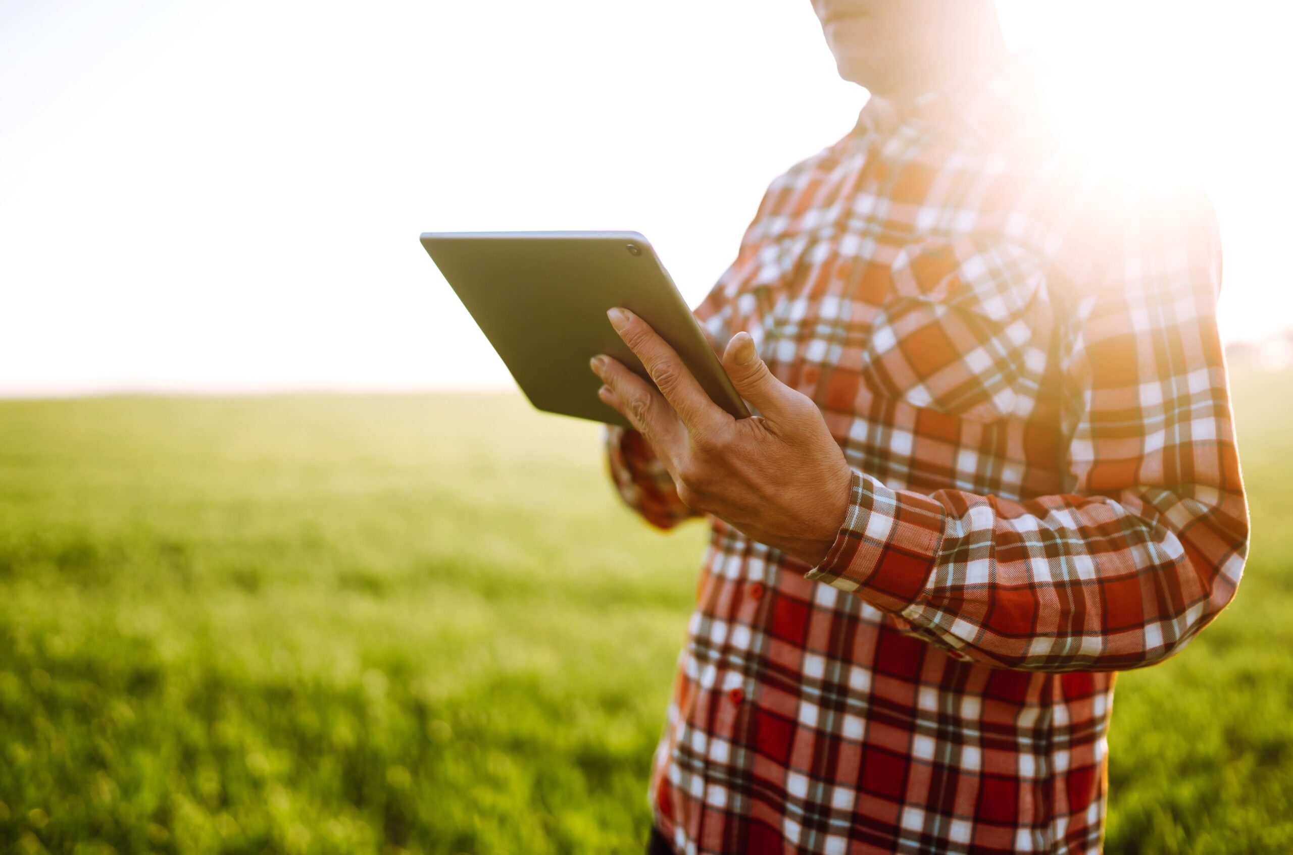 L&rsquo;impact du numérique en France